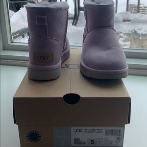 Lavender Ugg Minis